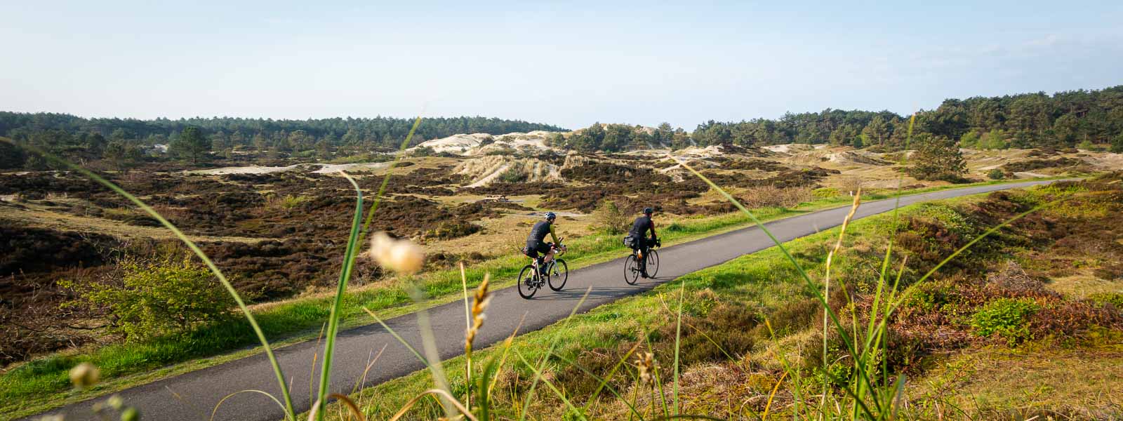 Zwei Radfahrer die am Race around the Netherlands teilnehmen fahren auf einer Straße durch Dünen.
